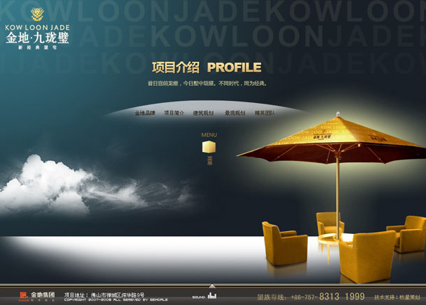 深圳市牧星策划设计有限公司金地九龙璧项目网站 项目介绍