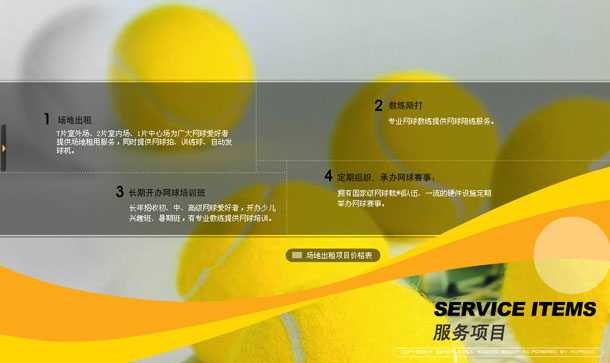 深圳市牧星策划设计有限公司金地网球中心项目网站 服务项目