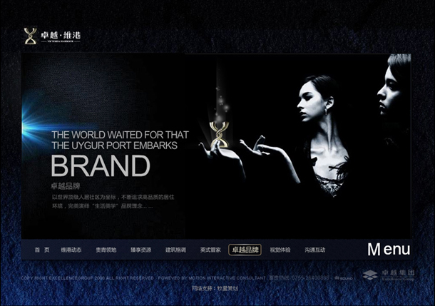 深圳市牧星策划设计有限公司卓越维港项目网站 卓越品牌