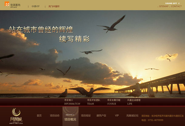 深圳市牧星策划设计有限公司凤凰城项目网站 项目概况